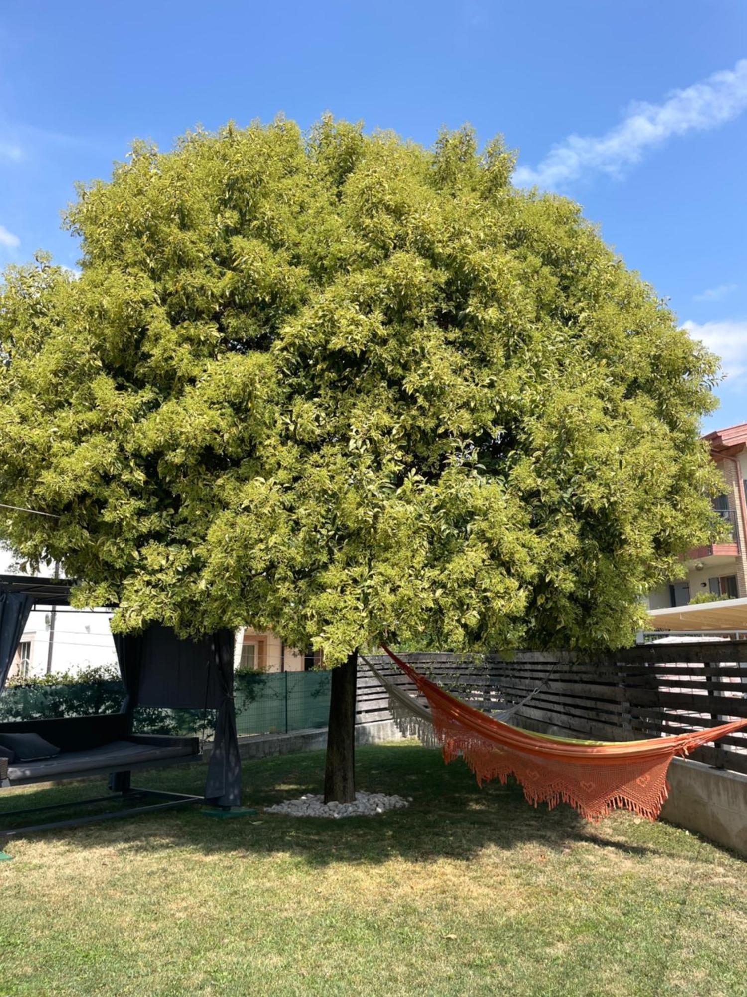 Apartamento Casa Degli Artisti Caprino Veronese Exterior foto
